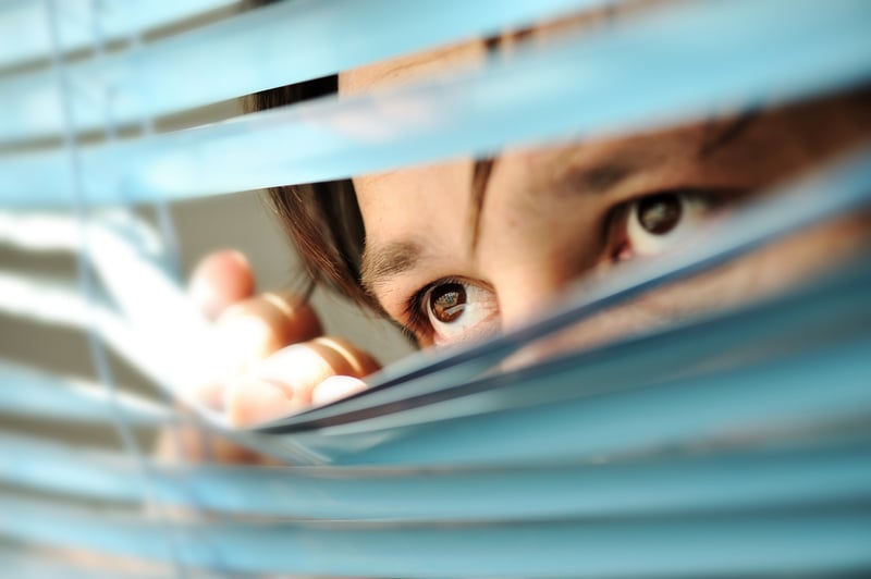 Spying Spying