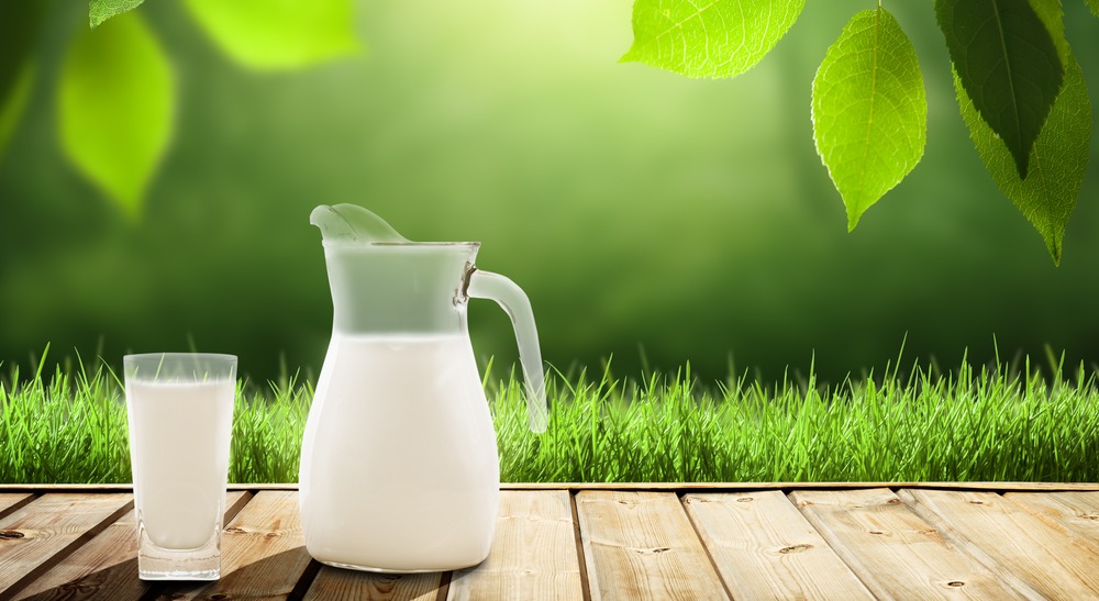 milk on table and sunny trees-1-1